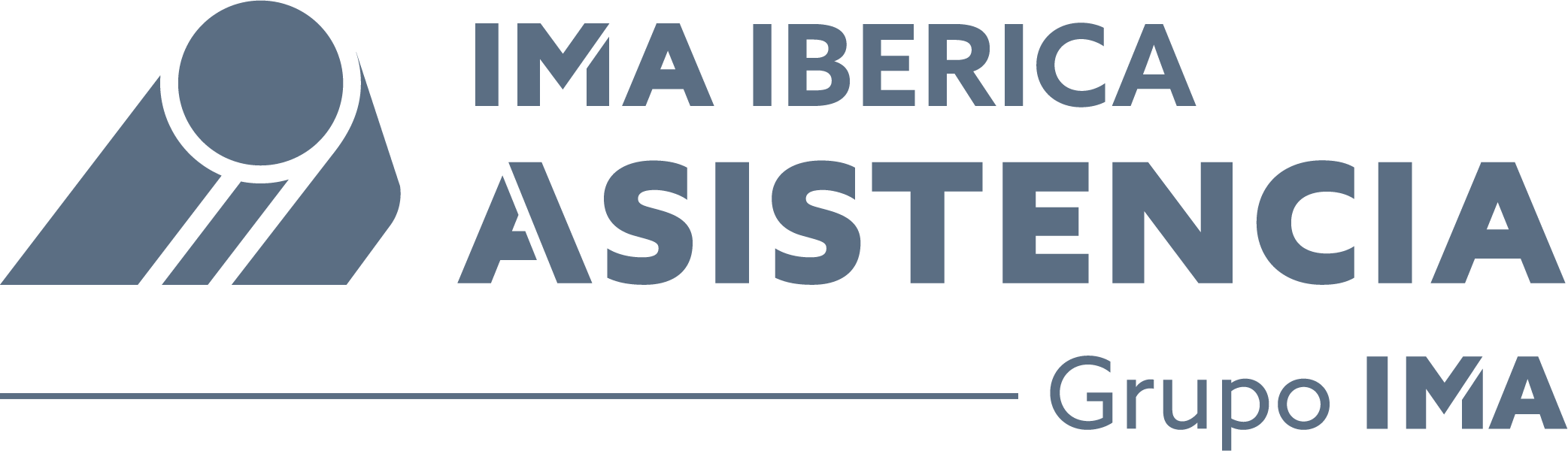 logo IMA Iberica gris