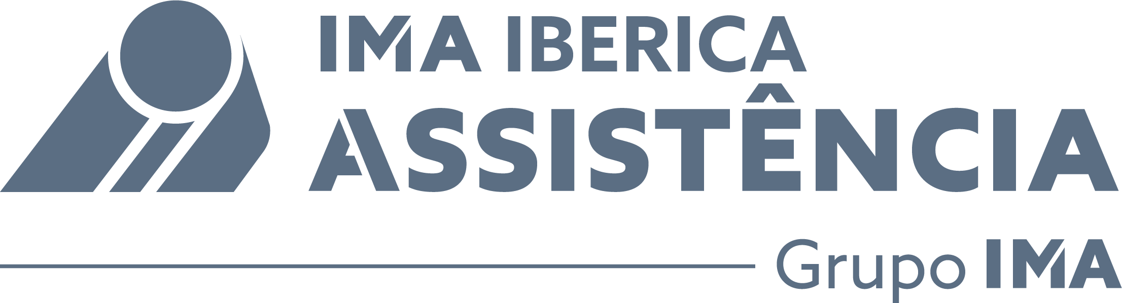 logo IMA Iberica Portugal gris