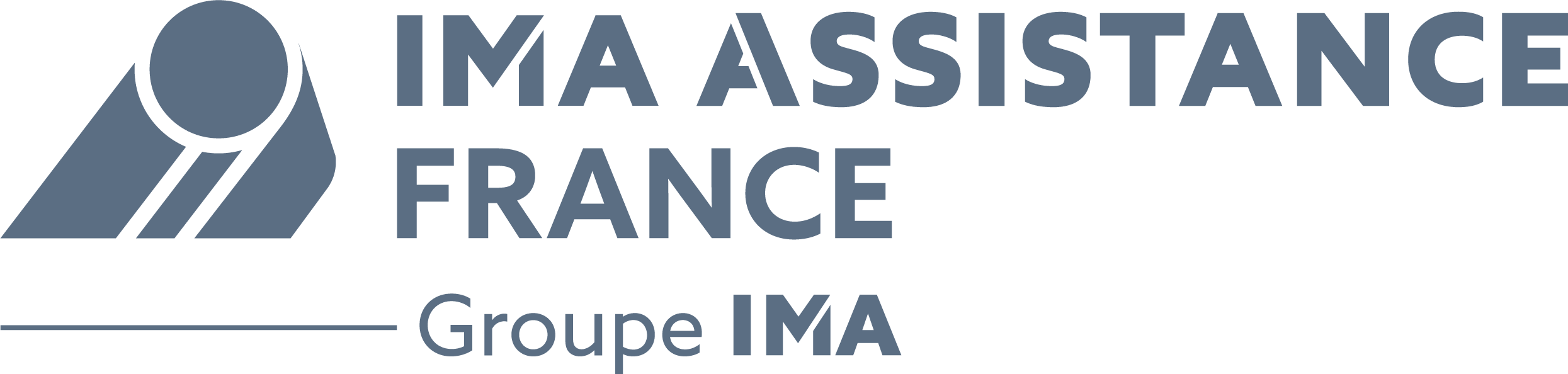 logo IMA Assistance France gris