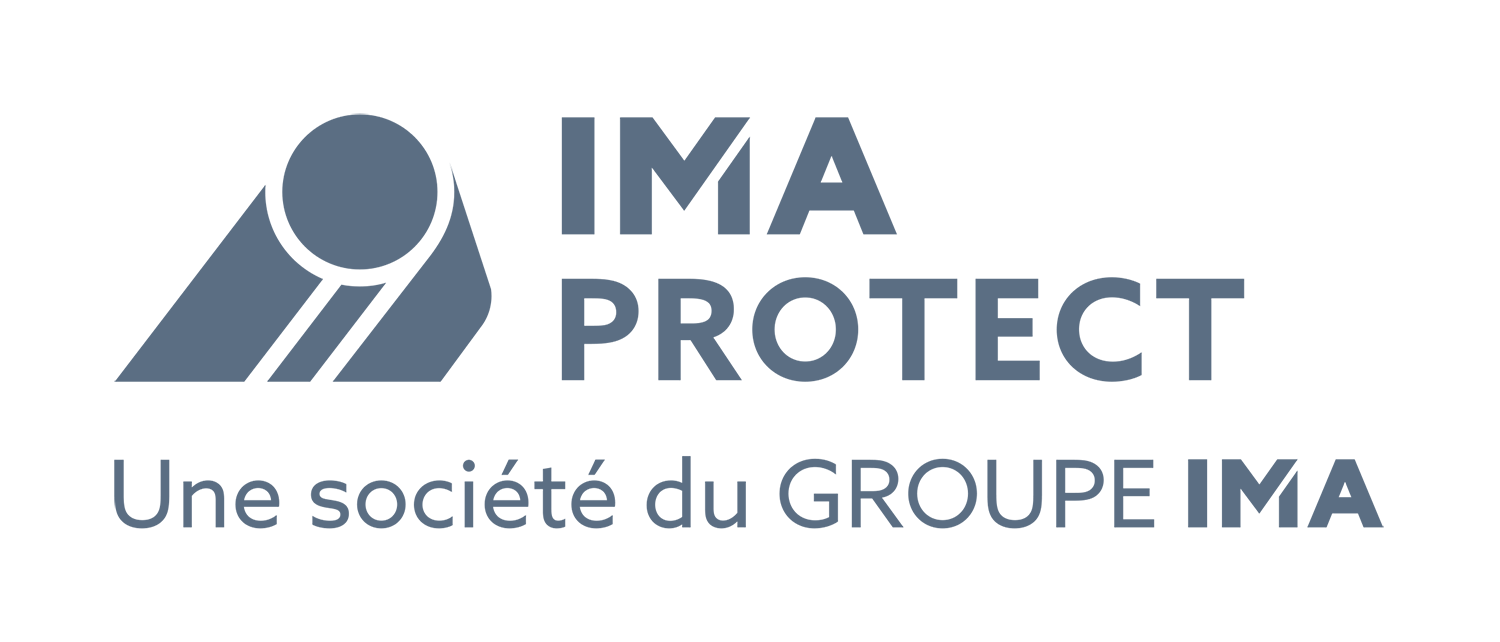 logo IMAPROTECT GRIS